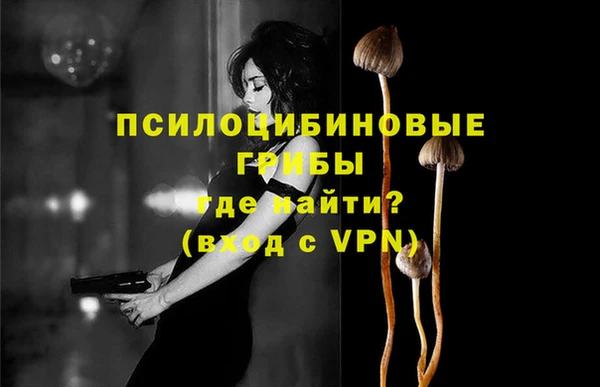 Альфа ПВП Алзамай