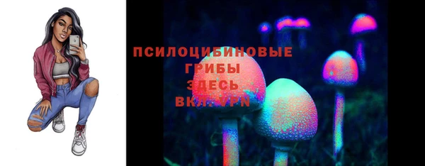 ECSTASY Пестово