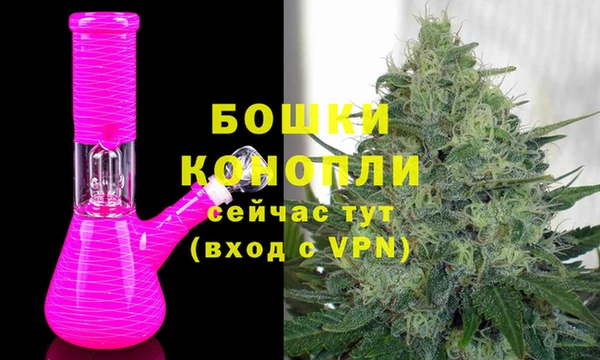 a pvp Пересвет