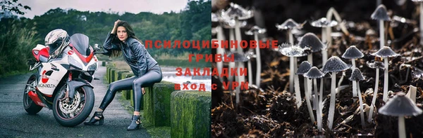Альфа ПВП Алзамай