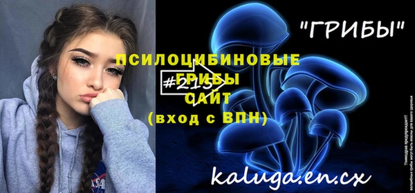 Альфа ПВП Алзамай