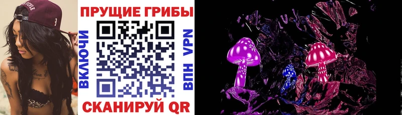 Псилоцибиновые грибы ЛСД Новая Ладога