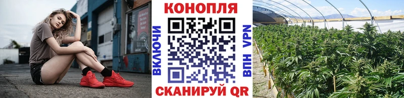 мега ссылки  цены   дарк нет Telegram  Бошки марихуана конопля  Новая Ладога 